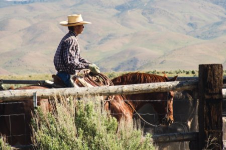 Photography Of A Man Riding Horse