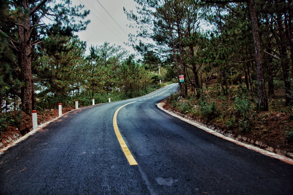 Photography Of Roadway Surrounded By Trees