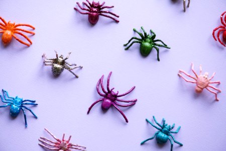 Assorted-color Spider Plastic Toy Collection photo