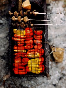 Orange And Red Tomatoes