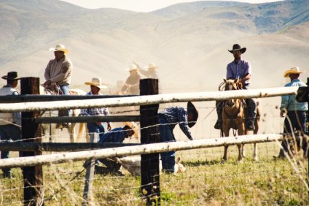 Cowboys Riding A Horse Near Gray Wooden Fence Taken During Dayitme