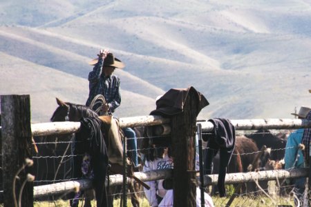 Close-up Photo Of Horseman
