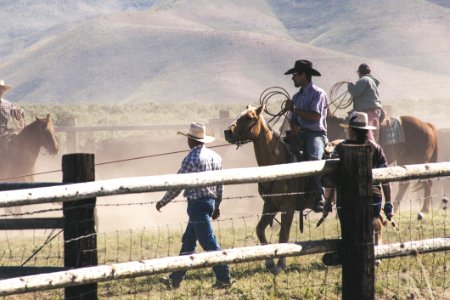 People Riding On There Perspective Horse In Farm photo