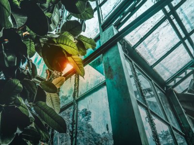 Low Angle Photography Of Greenhouse photo