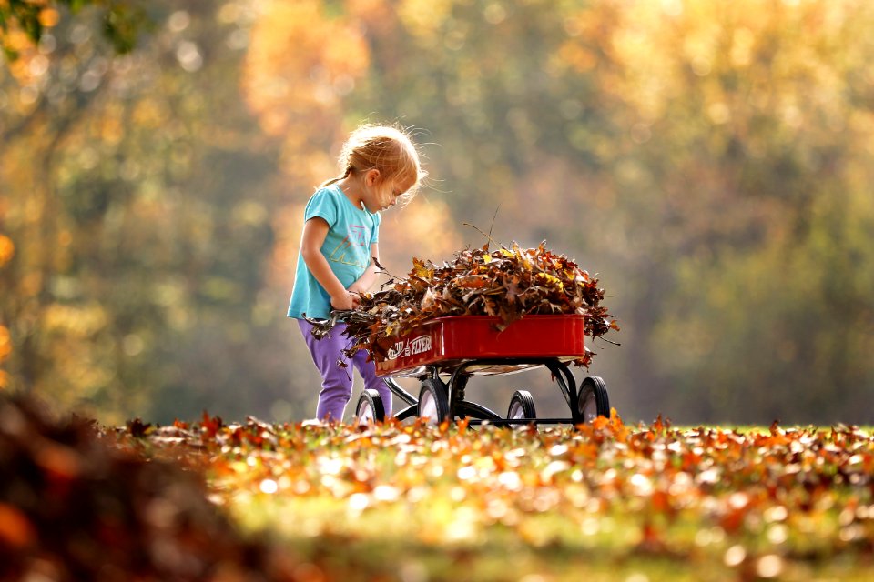 Photography Of Child Pushing The Wagon