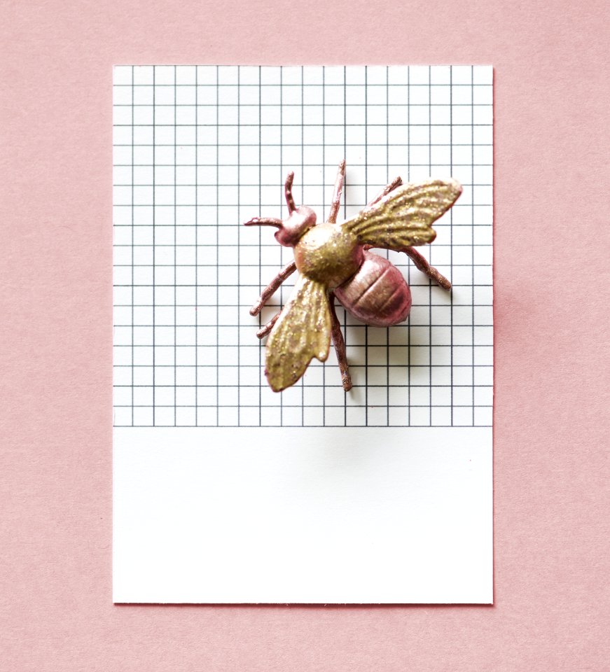 Toy Fly On White Graphing Paper