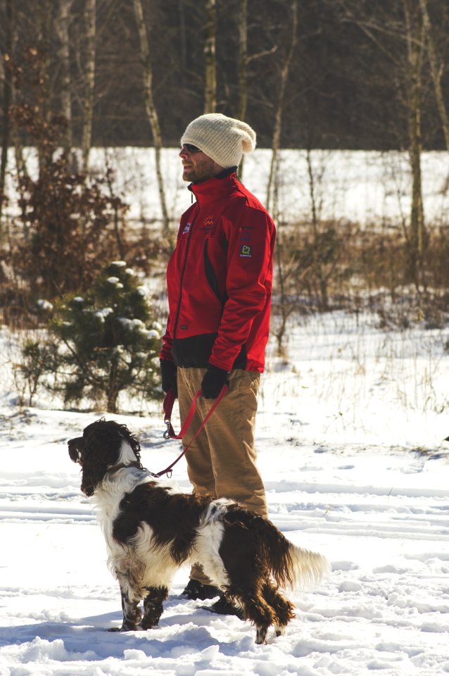 Animal Canine Cold