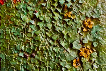 Green Leaves Concrete Wall