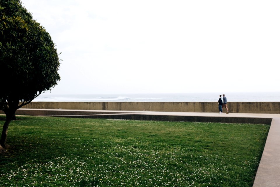 Couple Walking Pathway Near Green Grass