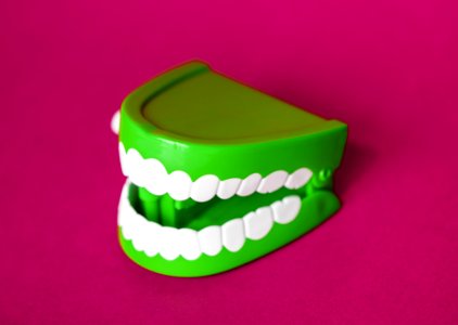 Green And White Denture Toy