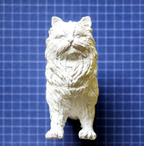 Cat Small To Medium Sized Cats Cat Like Mammal Whiskers