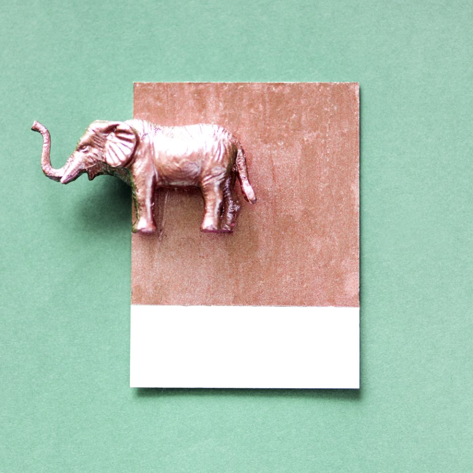 Abstract Animal Background