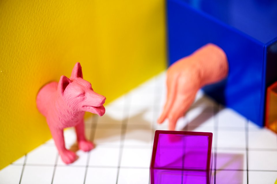 Pink Yellow Toy Play