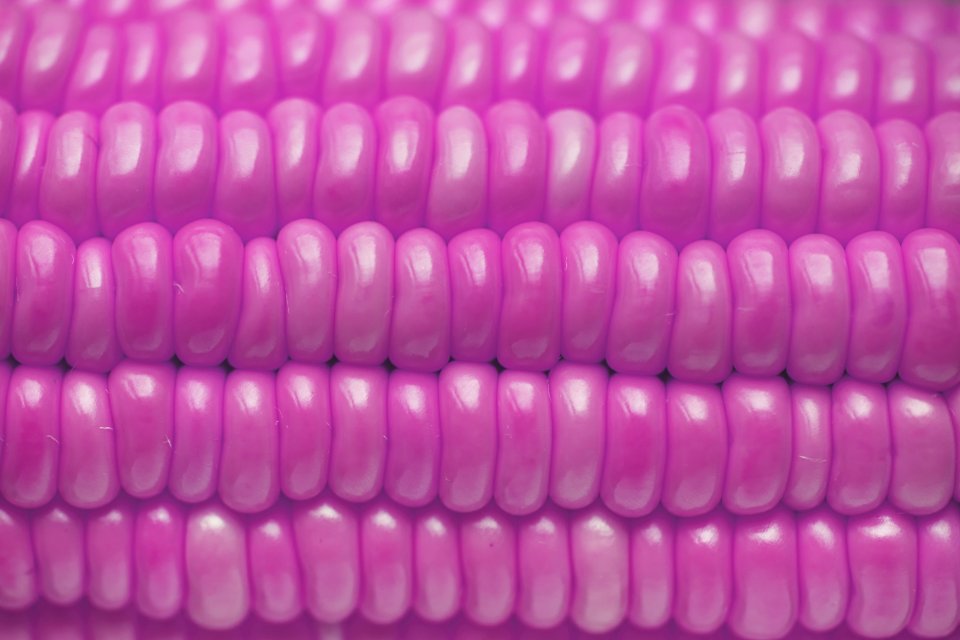 Agriculture Background Cc0