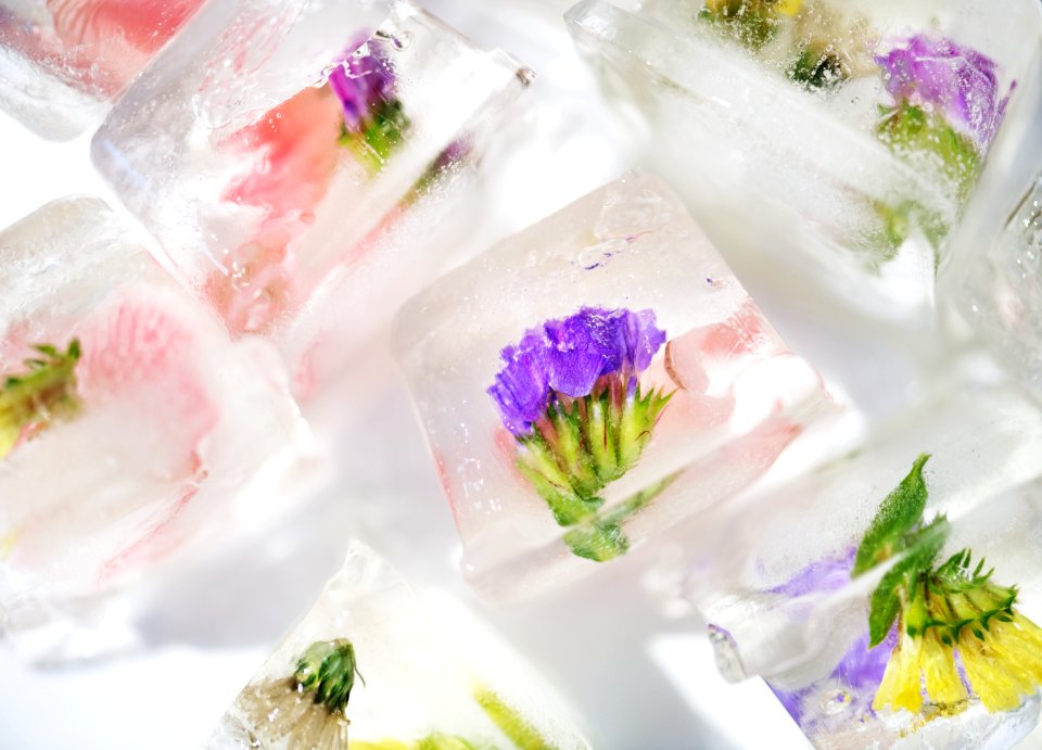 Flower Petal Flower Arranging Floristry