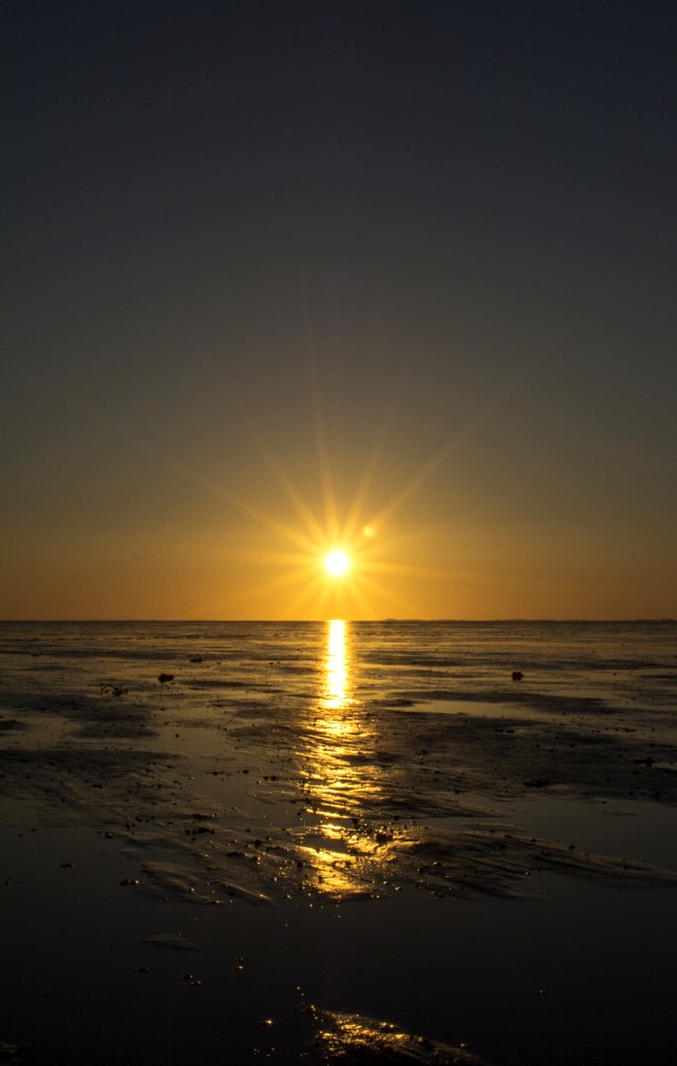 Horizon Sea Calm Sun photo