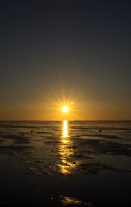 Horizon Sea Calm Sun photo