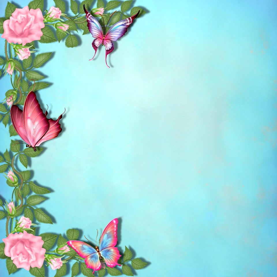 Butterfly Flower Moths And Butterflies Insect
