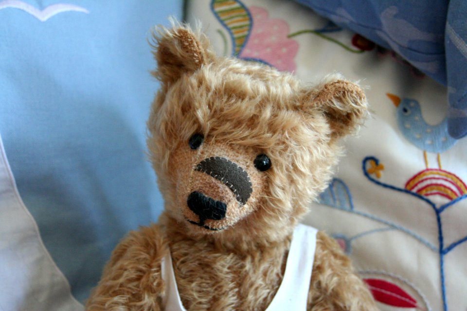 Teddy Bear Stuffed Toy Fur Snout