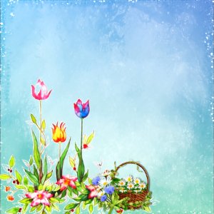 Flower Sky Flowering Plant Flora
