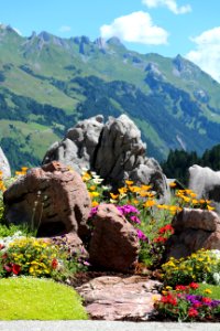 Flower Nature Mountainous Landforms Mountain