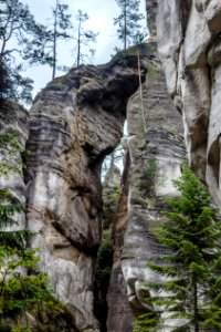 Rock Tree Cliff Formation photo