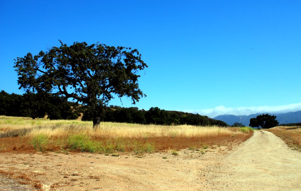 Road Sky Ecosystem Field