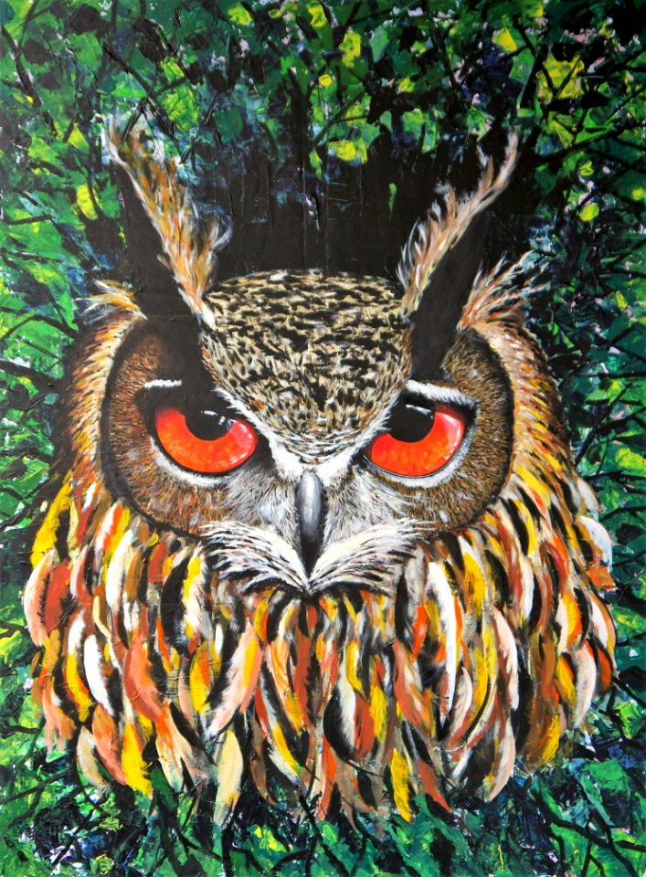 Owl Fauna Beak Bird