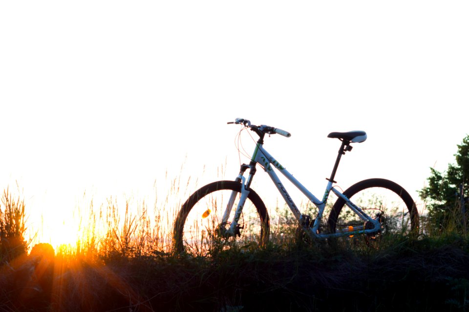 Teal Hardtail Bike On Green Grass