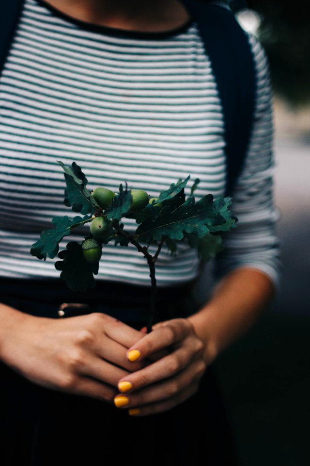 Selective Focus Photograph Of Green Plant On Persons Hands