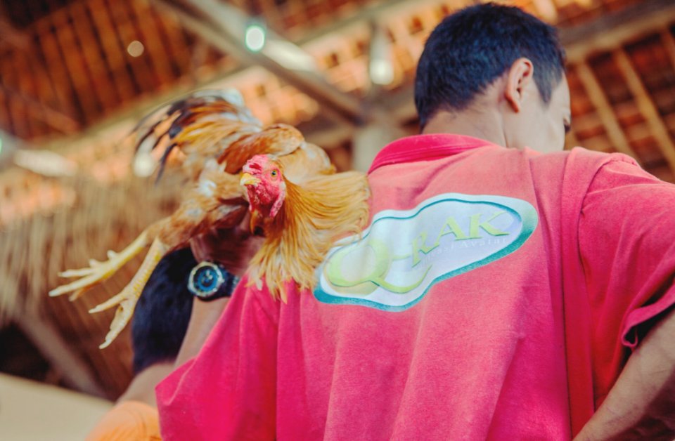 Mens Red Top And Brown Rooster