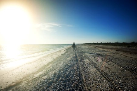 Person Walking On Seashore
