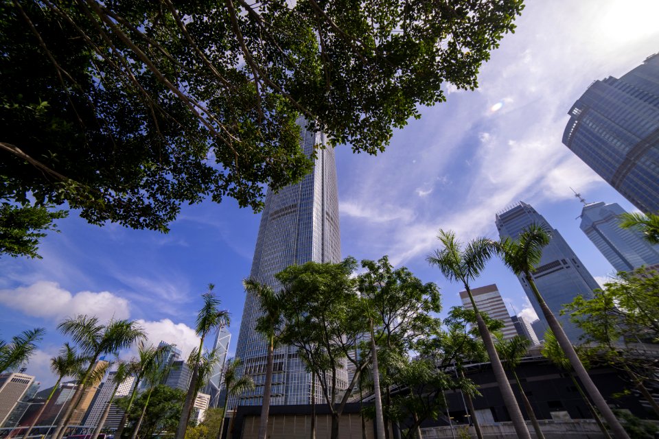 Worms Eye View Of Buildings And Trees photo