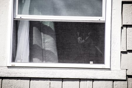 White Wooden Framed Window