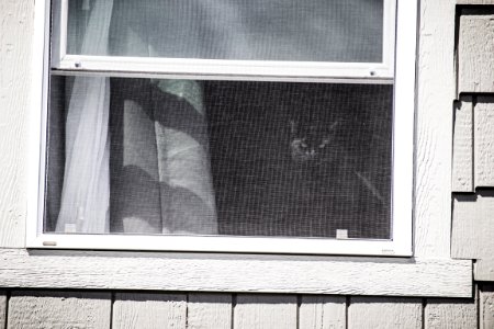 White Wooden Framed Window photo