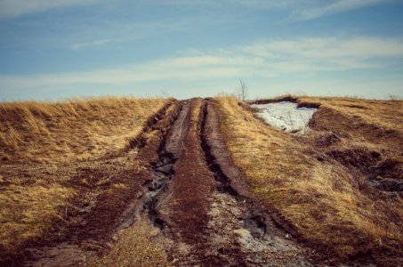 Brown Pathway Between Grass Field photo