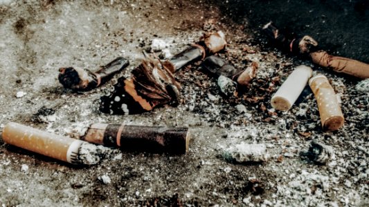 Cigarette Buts On Brown Soil photo