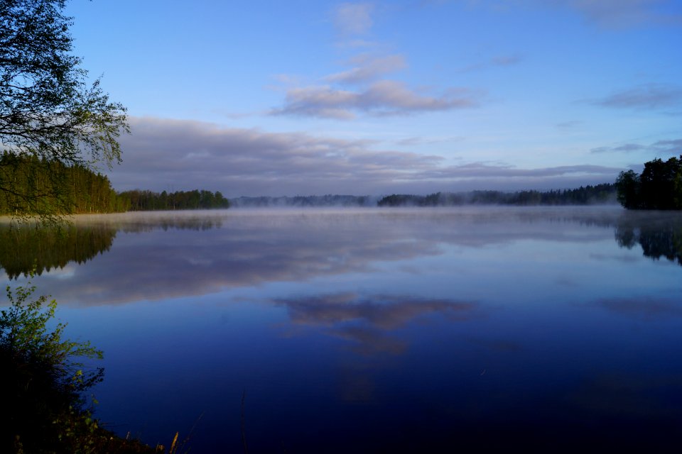 Landscape Photo Of Body Of Water Surrounded By Trees