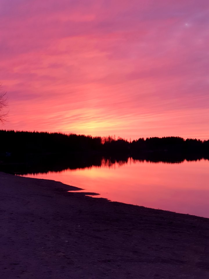 Silhouette Of Trees During Sunset
