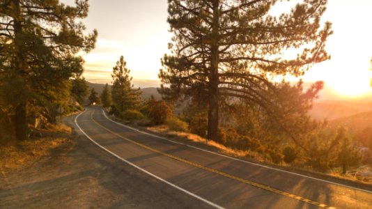 Concrete Road Between Trees photo