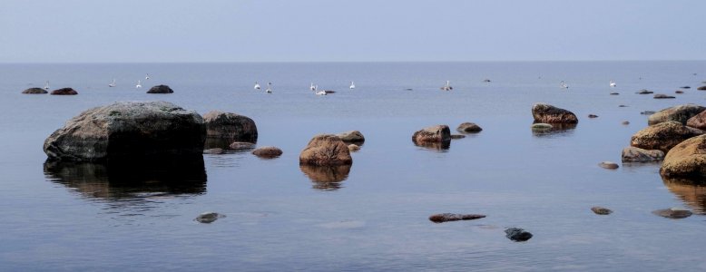 Photography Of Brown Rocks Near Body Of Water At Daytime photo