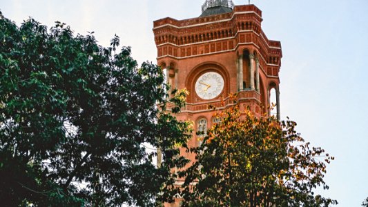 Clock Tower Near Trees At Daytime Photo photo