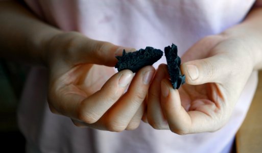 Persons Hand Holding Black Biscuit photo