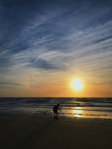 Silhouette Photo Of Person Placing Tripod Stand On Seashore photo