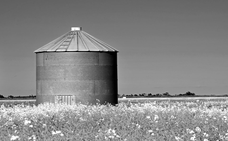 Metal Building Grayscale Photo