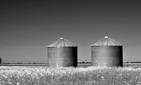 Grayscale Photography Of Two Silo On Grass photo