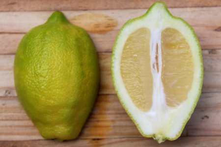 Sliced Citrus Fruit