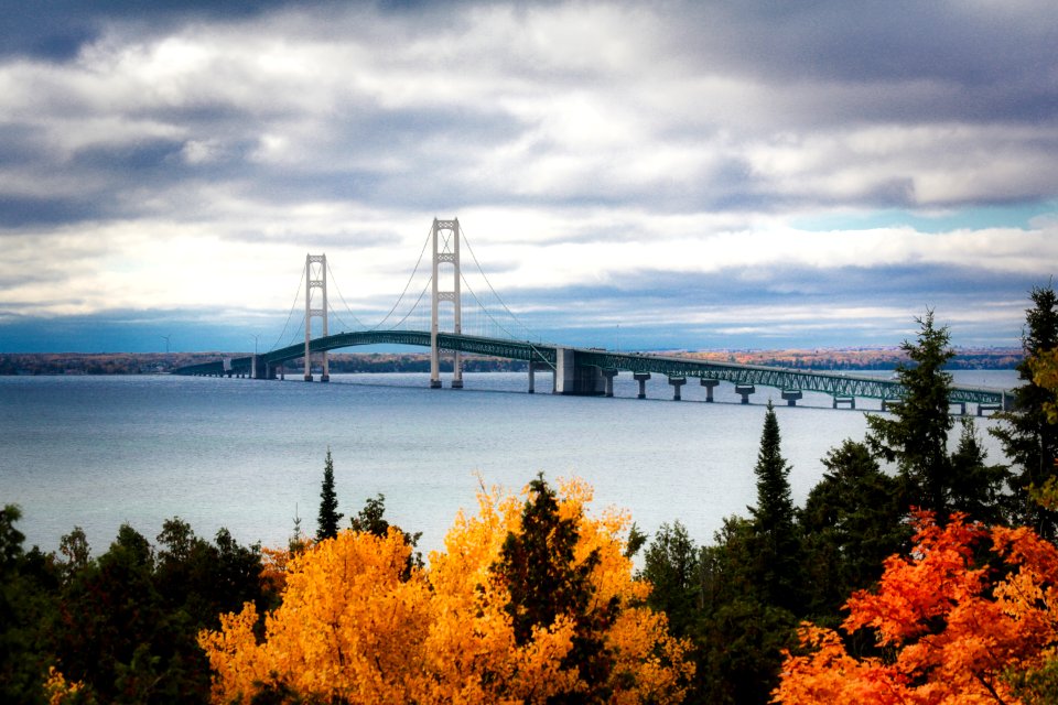 View Of Suspension Bridge