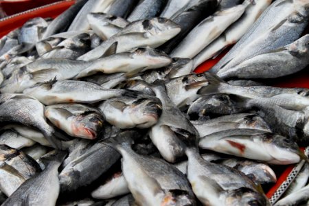 Seafood Fish Fish Products Sardine