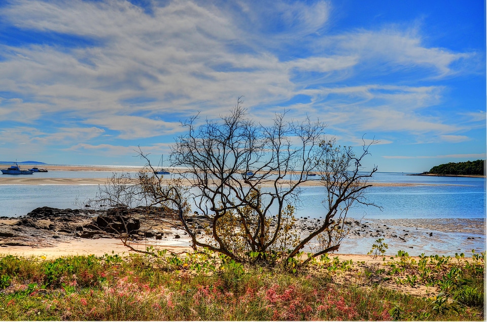 Australia beach nature